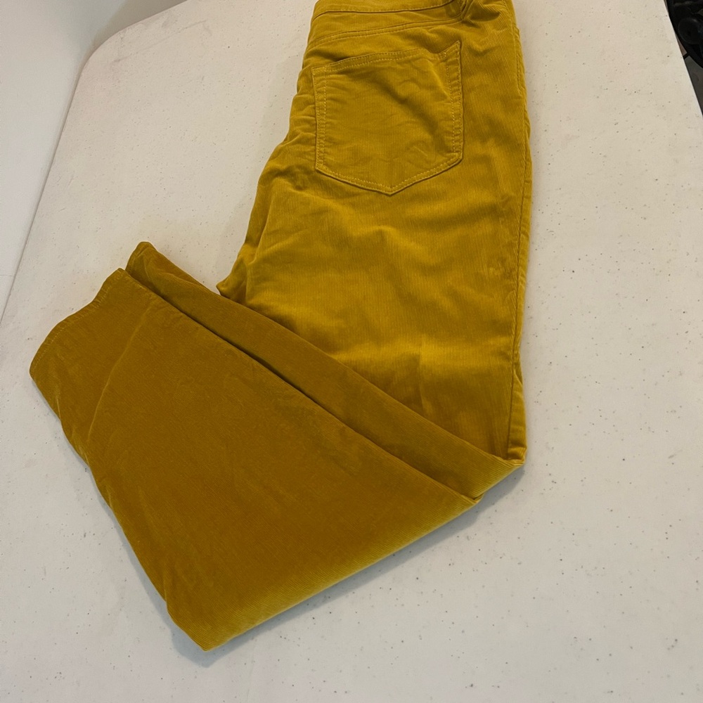 Ann Taylor Women's Mustard Straight Leg Jeans